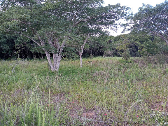 Imagem Chácara à Venda, 20.000 m² em águas Claras - Viamão Imagem Chácara à Venda, 20.000 m² em águas Claras - Viamão