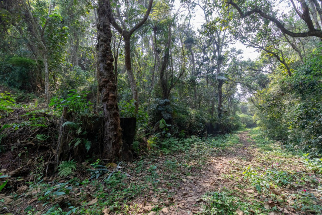 Imagem Terreno à Venda, em Chácara Vista Alegre - São Paulo Imagem Terreno à Venda, em Chácara Vista Alegre - São Paulo