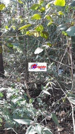 Imagem Terreno em Condomínio à Venda, 2 m² em Jardim São Vicente - Cotia Imagem Terreno em Condomínio à Venda, 2 m² em Jardim São Vicente - Cotia