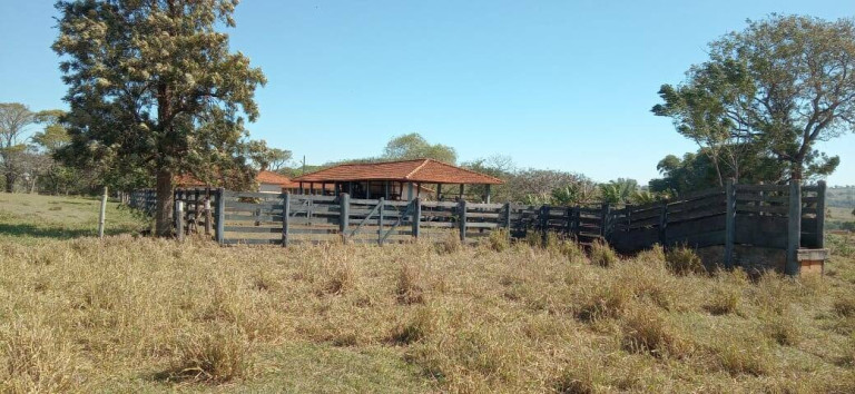 Imagem Fazenda à Venda, 726 m² em Vila Tazitsu - Presidente Prudente Imagem Fazenda à Venda, 726 m² em Vila Tazitsu - Presidente Prudente