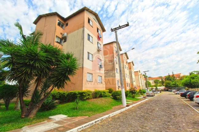 Imagem Apartamento com 2 Quartos à Venda, 44 m² em Nossa Senhora Das Graças - Canoas Imagem Apartamento com 2 Quartos à Venda, 44 m² em Nossa Senhora Das Graças - Canoas
