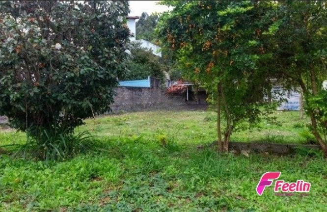 Terreno à Venda, 528 m² em Trindade - Florianópolis