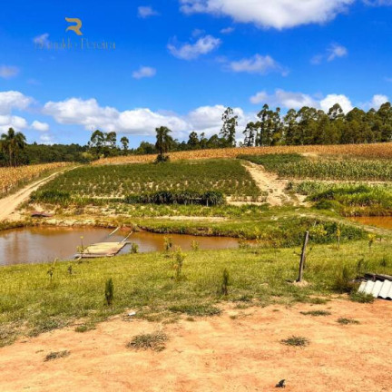 Imagem Chácara à Venda, 20.000 m² em Gravataí Imagem Chácara à Venda, 20.000 m² em Gravataí