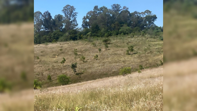 Imagem Imóvel à Venda, 1.000.000 m² em área Rural De São João Del Rei - São João Del Rei Imagem Imóvel à Venda, 1.000.000 m² em área Rural De São João Del Rei - São João Del Rei
