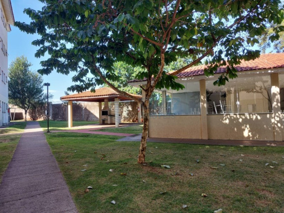 Imagem Apartamento para Alugar, em Quintino I - Ribeirão Preto Imagem Apartamento para Alugar, em Quintino I - Ribeirão Preto