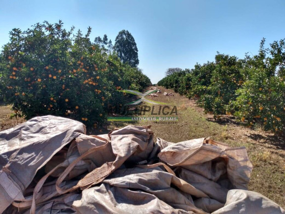 Imagem Fazenda à Venda, 26 m² em Monte Alegre De Minas Imagem Fazenda à Venda, 26 m² em Monte Alegre De Minas