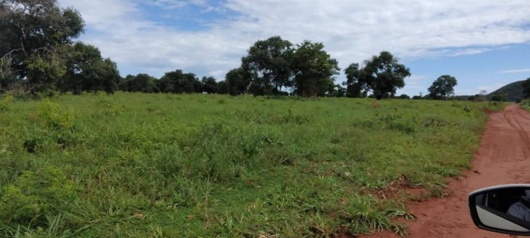 Imagem Fazenda à Venda, 121 m² em Zona Rural - Montes Claros De Goiás