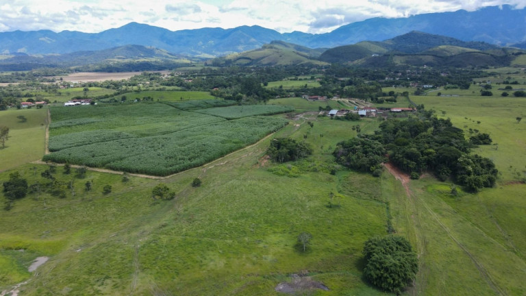 Imagem Fazenda à Venda, 100 m² em Centro - Pindamonhangaba Imagem Fazenda à Venda, 100 m² em Centro - Pindamonhangaba