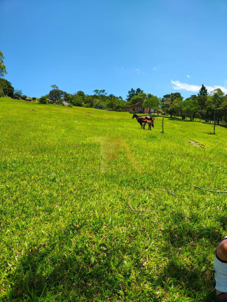 Terreno à Venda,  em Cangueri De Fora - Imaruí