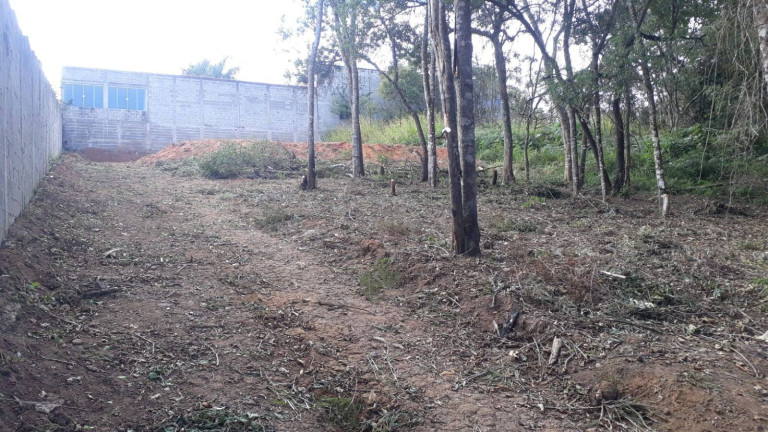 Terreno à Venda, 1.000 m² em Ortizes - Piedade