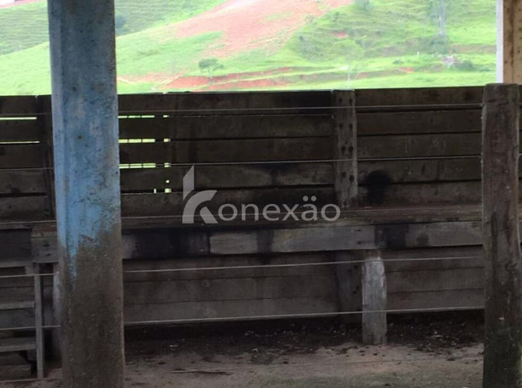 Imagem Fazenda à Venda, 400 m² em Jardim Prado - Santa Branca