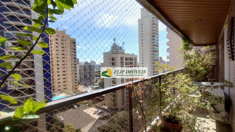 Imagem Apartamento com 4 Quartos à Venda, 235 m² em Cambuí - Campinas Imagem Apartamento com 4 Quartos à Venda, 235 m² em Cambuí - Campinas