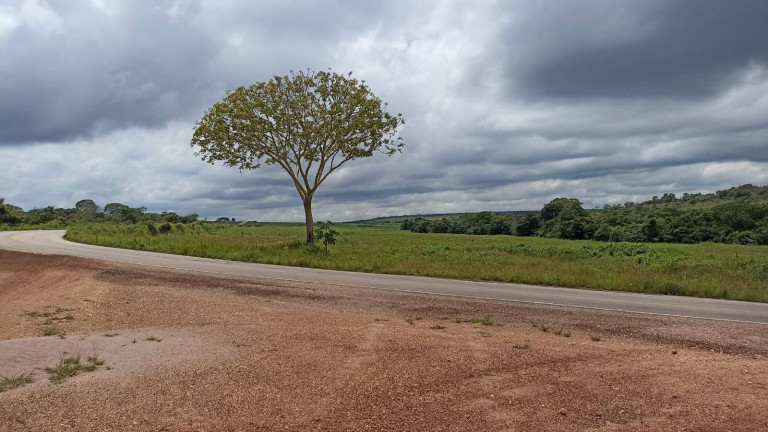 Fazenda à Venda, 1.077 m² em Campo Verde