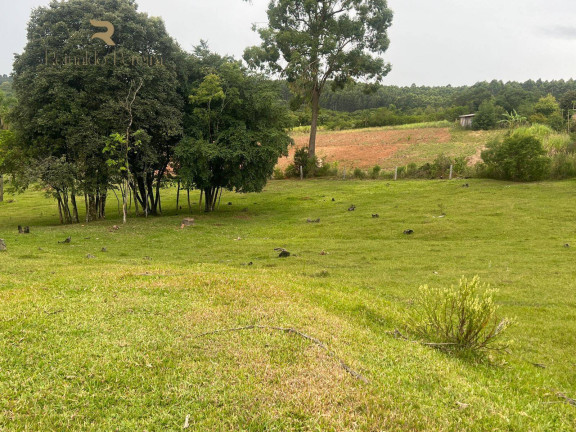 Imagem Chácara com 2 Quartos à Venda, 32.000 m² em Fazenda Fialho - Taquara