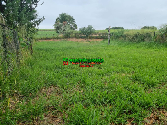 Chácara à Venda, 1.000 m² em Sob. Consulta - Caçapava