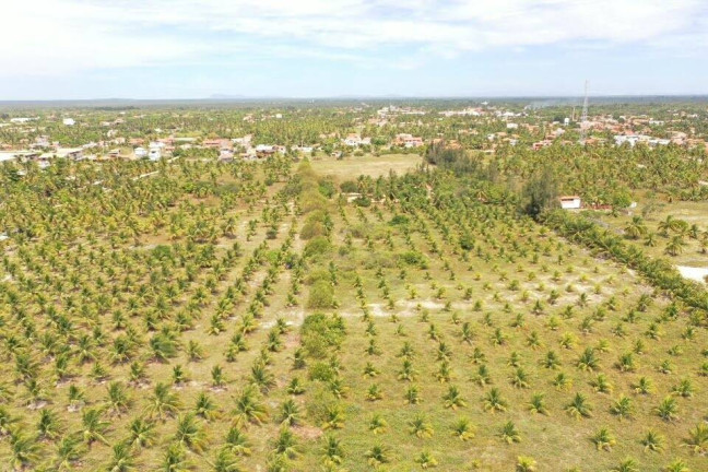 Imagem Terreno à Venda, 3.000 m² em Praia Do Preá - Cruz Imagem Terreno à Venda, 3.000 m² em Praia Do Preá - Cruz
