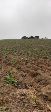 Imagem Imóvel à Venda, em Sairé - Sairé Imagem Imóvel à Venda, em Sairé - Sairé