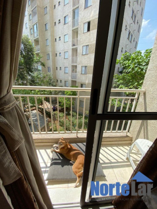 Imagem Apartamento com 2 Quartos à Venda, 54 m² em Jardim íris - São Paulo
