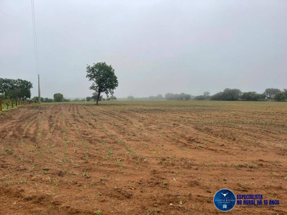 Chácara à Venda, 8 m² em Zona Rural - Matrinchã