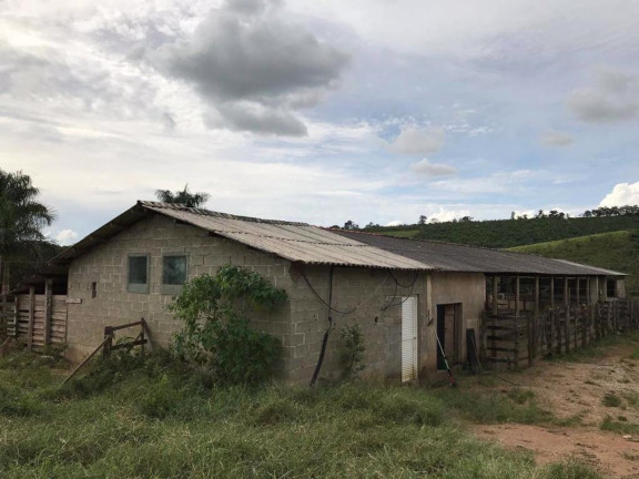 Imagem Fazenda à Venda, 90 m² em Zona Rural - Santa Rita Do Sapucaí
