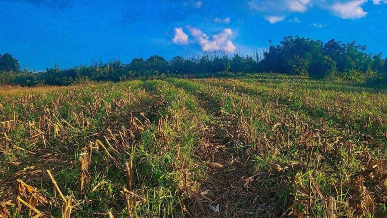 Imagem Terreno à Venda, 8.000 m² em Centro - Vargem Imagem Terreno à Venda, 8.000 m² em Centro - Vargem