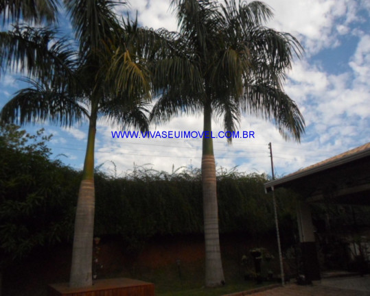 Imagem Imóvel com 5 Quartos à Venda, 1.680 m² em Terras De Itaici - Indaiatuba Imagem Imóvel com 5 Quartos à Venda, 1.680 m² em Terras De Itaici - Indaiatuba