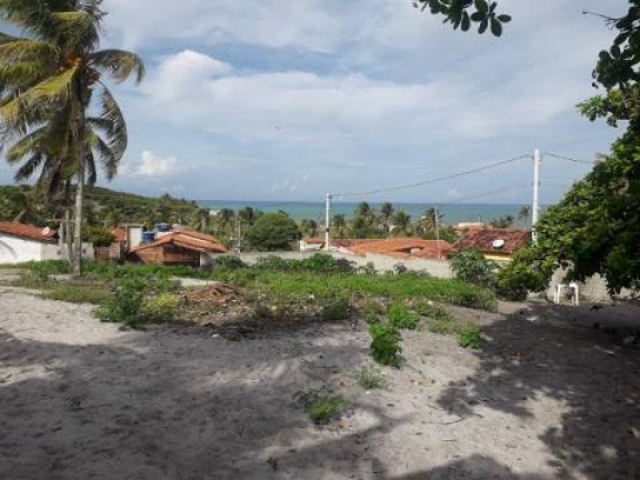Imagem Terreno à Venda, 1.000 m² em Tibau Do Sul Imagem Terreno à Venda, 1.000 m² em Tibau Do Sul