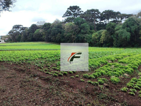 Imagem Terreno à Venda, 4.987 m² em Umbará - Curitiba Imagem Terreno à Venda, 4.987 m² em Umbará - Curitiba