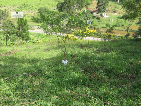 Imagem Chácara à Venda, 11.280 m² em Alto Da Serra - São Roque Imagem Chácara à Venda, 11.280 m² em Alto Da Serra - São Roque