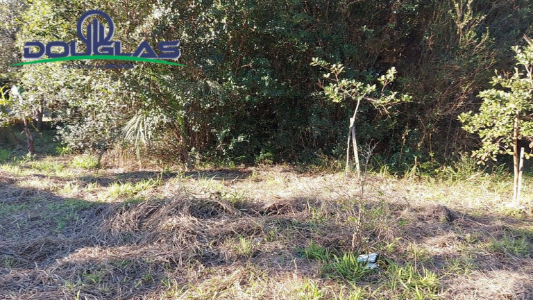 Imagem Terreno à Venda, 1.398 m² em Viamão Imagem Terreno à Venda, 1.398 m² em Viamão