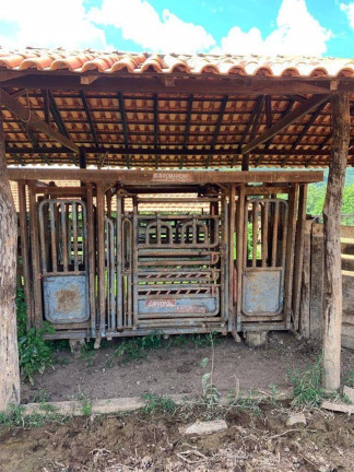 Imagem Fazenda à Venda, 200 m² em Centro - Acorizal Imagem Fazenda à Venda, 200 m² em Centro - Acorizal