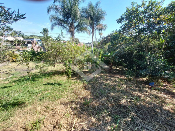 Imagem Ponto Comercial à Venda, 3.600 m² em Guaratiba - Rio De Janeiro Imagem Ponto Comercial à Venda, 3.600 m² em Guaratiba - Rio De Janeiro