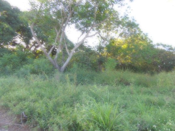 Imagem Terreno à Venda, 13 m² em Camará - Aquiraz Imagem Terreno à Venda, 13 m² em Camará - Aquiraz