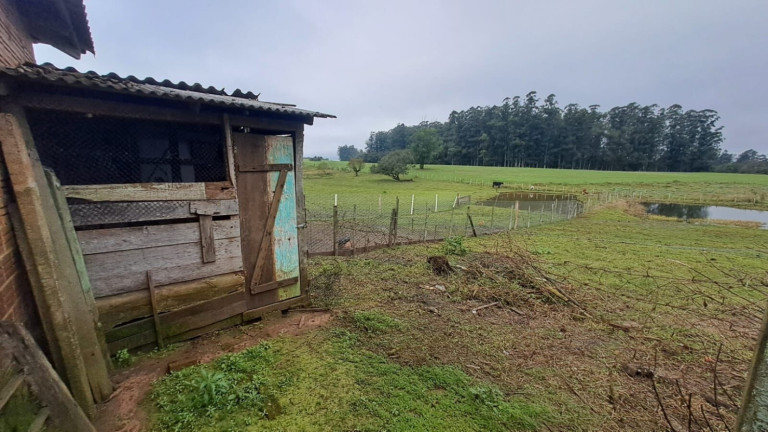 Imagem Chácara com 2 Quartos à Venda, 2.000 m² em Cipriano De Oliveira - Vera Cruz Imagem Chácara com 2 Quartos à Venda, 2.000 m² em Cipriano De Oliveira - Vera Cruz