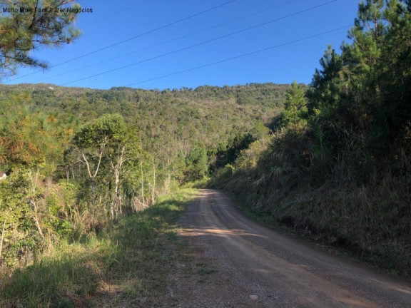 Imagem Terreno à Venda, 3 m² em Rua São José Do Cai - Nova Petrópolis Imagem Terreno à Venda, 3 m² em Rua São José Do Cai - Nova Petrópolis