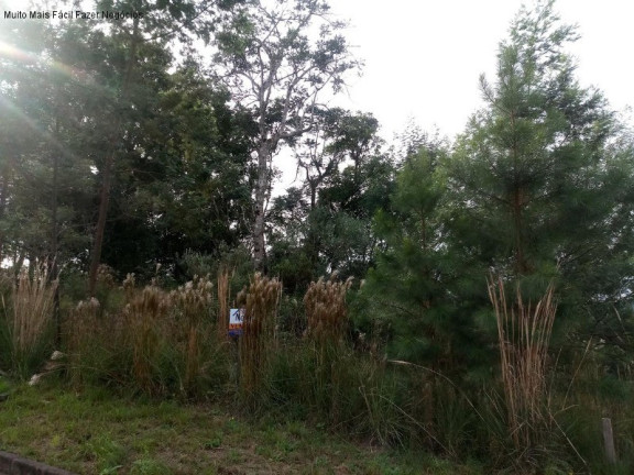 Imagem Terreno à Venda, 725 m² em Pousada Da Neve - Nova Petrópolis Imagem Terreno à Venda, 725 m² em Pousada Da Neve - Nova Petrópolis