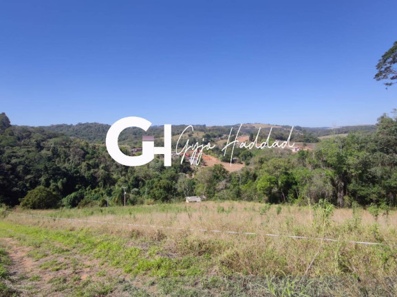 Terreno à Venda, 3.690 m² em Piedade