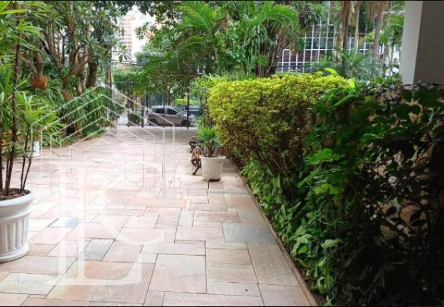 Imagem Apartamento com 3 Quartos para Alugar, 91 m² em Vila Nova Conceição - São Paulo Imagem Apartamento com 3 Quartos para Alugar, 91 m² em Vila Nova Conceição - São Paulo