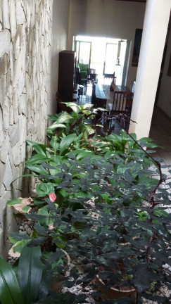 Imagem Casa com 4 Quartos à Venda, 320 m² em Ponta Negra - Natal