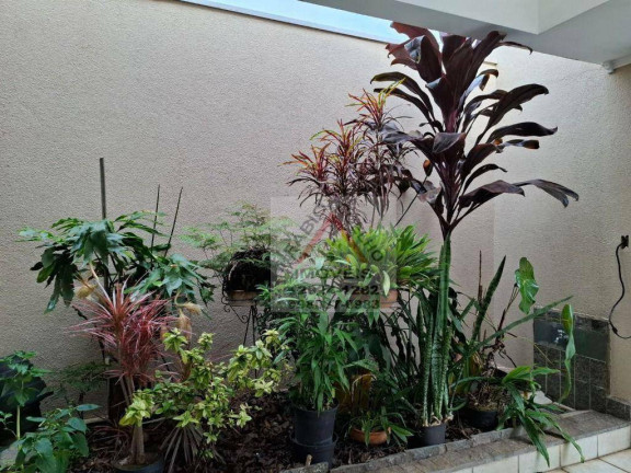Imagem Sobrado com 4 Quartos à Venda, 210 m² em Jardim Marajoara - São Paulo Imagem Sobrado com 4 Quartos à Venda, 210 m² em Jardim Marajoara - São Paulo