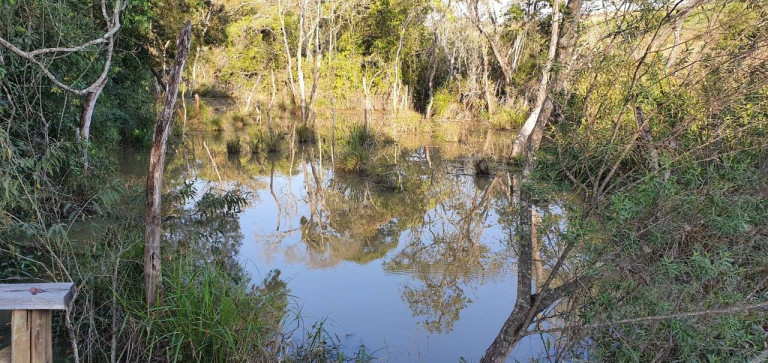 Imagem Fazenda à Venda, 41.140.000 m² em Zona Rural - Angatuba Imagem Fazenda à Venda, 41.140.000 m² em Zona Rural - Angatuba