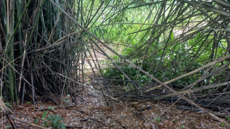 Imagem Imóvel com 2 Quartos à Venda, 67 m² em Palmital - Cachoeira Paulista