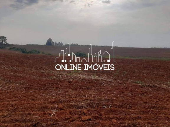 Imagem Chácara à Venda, 56 m² em Itapira Imagem Chácara à Venda, 56 m² em Itapira
