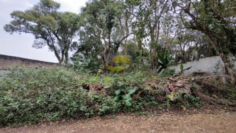 Imagem Terreno à Venda, 1.000 m² em Jardim Colibri - Cotia Imagem Terreno à Venda, 1.000 m² em Jardim Colibri - Cotia