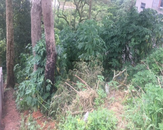 Imagem Terreno à Venda, 250 m² em Terra Preta (terra Preta) - Mairiporã Imagem Terreno à Venda, 250 m² em Terra Preta (terra Preta) - Mairiporã