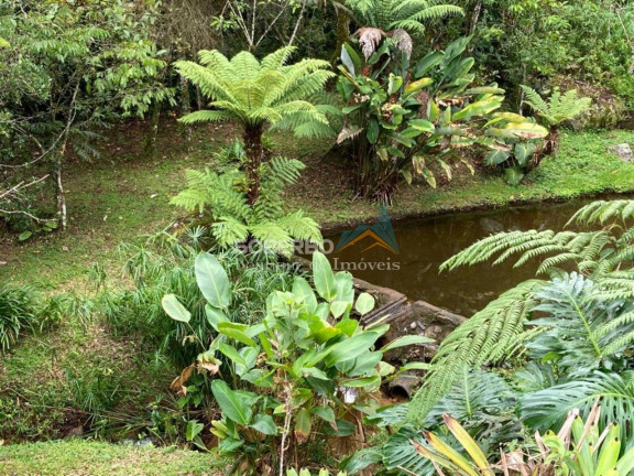 Imagem Imóvel com 6 Quartos à Venda, 544.500 m² em São Geraldo - Nova Friburgo