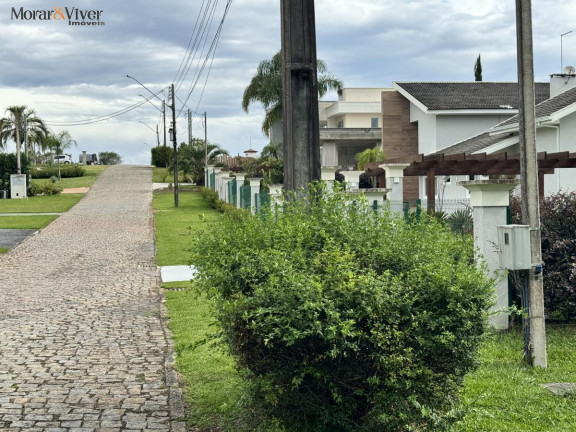 Imagem Terreno à Venda, 2.500 m² em Campo Largo Da Roseira - São José Dos Pinhais Imagem Terreno à Venda, 2.500 m² em Campo Largo Da Roseira - São José Dos Pinhais