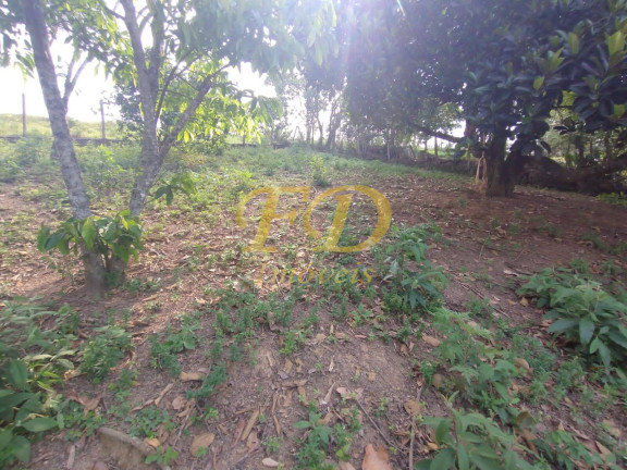 Imagem Chácara com 3 Quartos à Venda, 1.060 m² em Jardim Lucia - Mairiporã Imagem Chácara com 3 Quartos à Venda, 1.060 m² em Jardim Lucia - Mairiporã