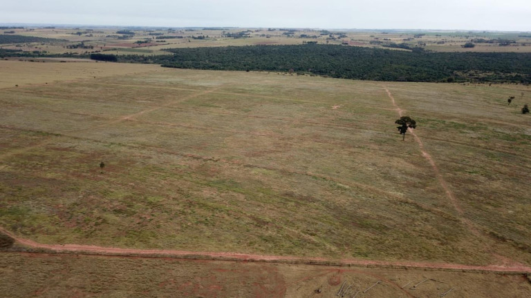 Imagem Fazenda à Venda, 220 m² em Zona Rural - Euclides Da Cunha Paulista Imagem Fazenda à Venda, 220 m² em Zona Rural - Euclides Da Cunha Paulista