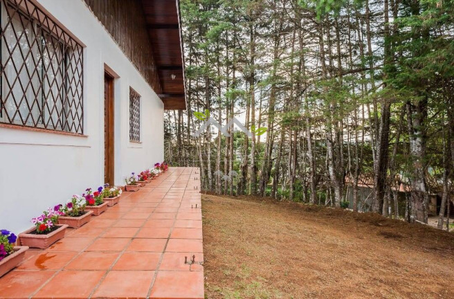 Imagem Casa com 4 Quartos à Venda, 1 m² em Vila Nova Suíça - Campos Do Jordão
